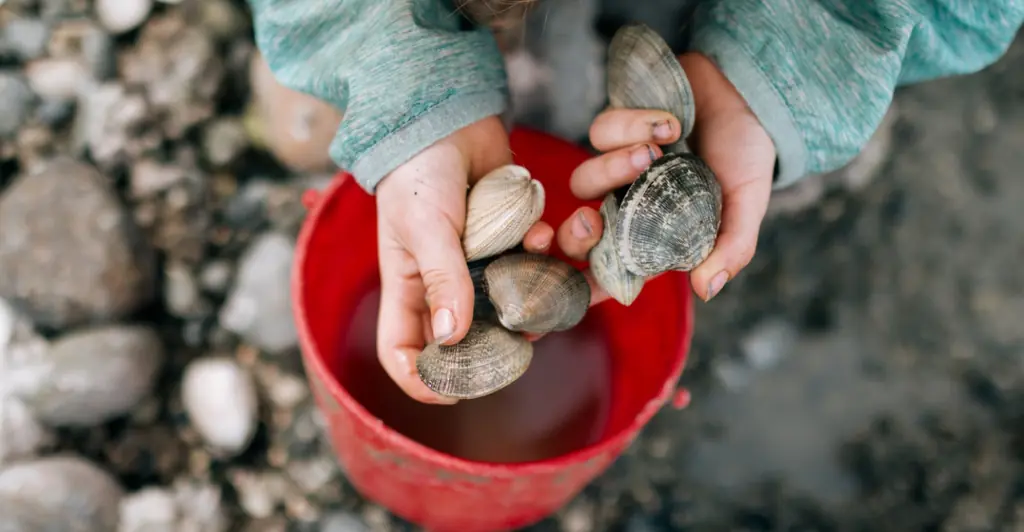 California mom receives fine for $89,000 after her kids collected 72 clams from beach thinking they were seashells