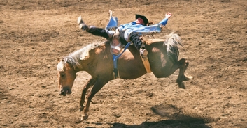 Bull jumps guardrail and attacks spectators at Oregon rodeo
