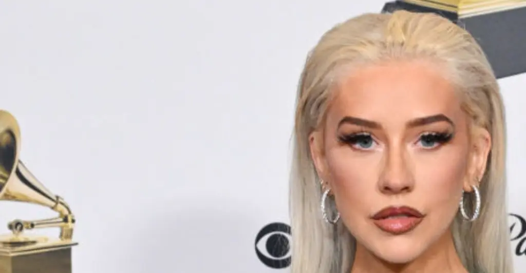 Fans insist Christina Aguilera, 43, has found the 'fountain of youth' as she poses topless