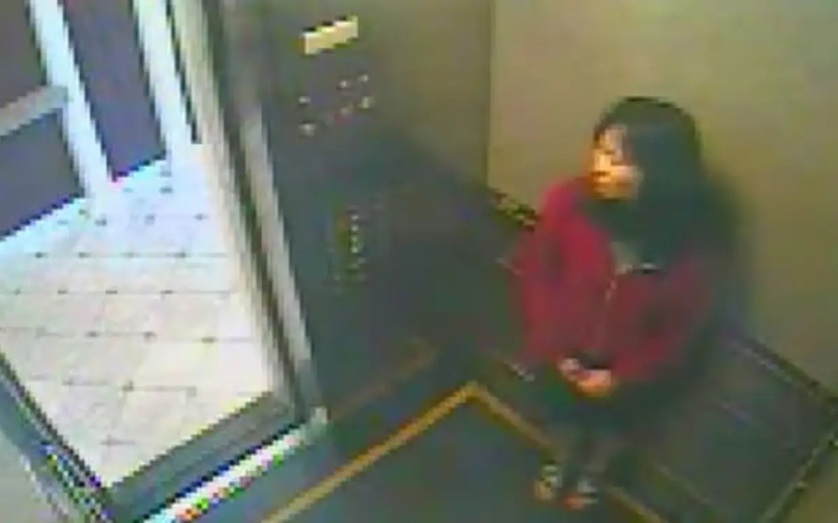 elisa lam.png