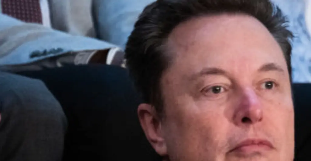 Elon Musk is slammed over his simple one-word response to boxer Imane Khelif's participation in the Olympics