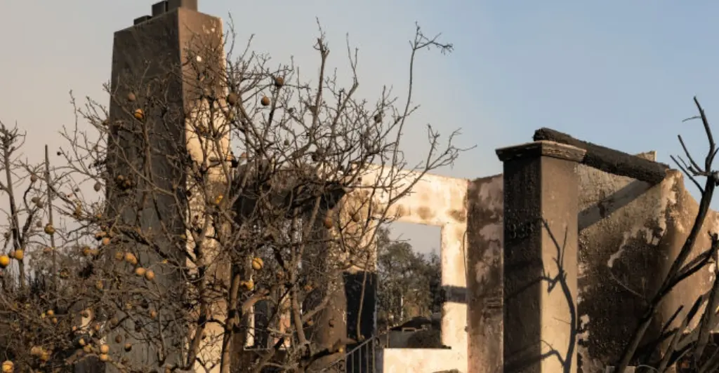 News reporter makes heartbreaking admission while reporting on Los Angeles fires