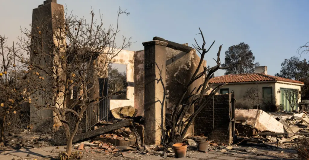 News reporter makes heartbreaking admission while reporting on Los Angeles fires