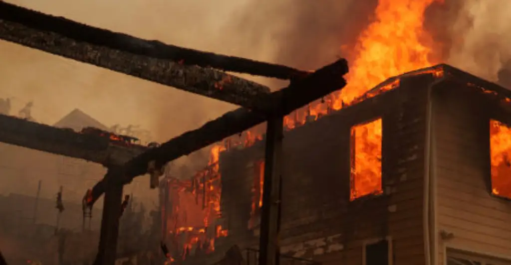 Homeowner who lost everything in Los Angeles wildfire sobs as he is reunited with beloved dog after desperately searching for days