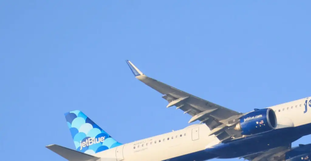 Law enforcement share update after two dead bodies were found on plane after it landed