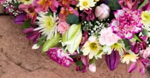 flowers1.jpg