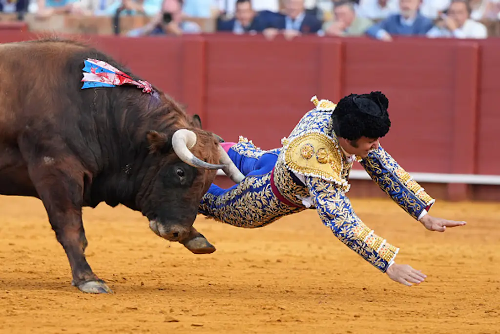 Morante de la Puebla is injured during a bullfight. Credit: Joaquin Corchero/Europa Press via Getty Images