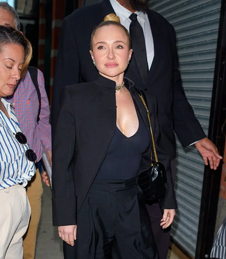Hayden Panettiere has spoken about her health struggles in the past. Credit:  XNY/Star Max/GC Images