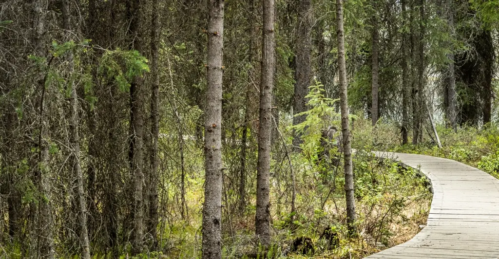 Historic photo shows man holding note with his final message to the world after hiking into the wilderness