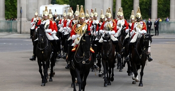 Authorities provide update on the 'blood-covered' horses seen stampeding through the streets of London