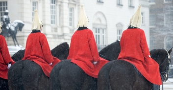 Moment 'blood-covered' horses seen stampeding through streets of London are caught