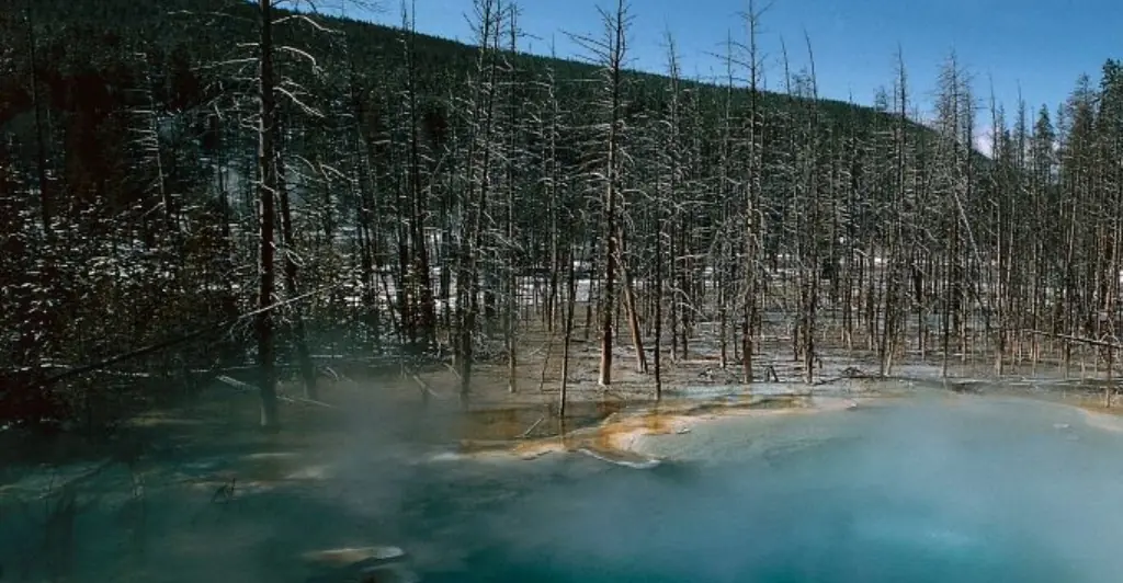 Woman unintentionally records the moment her 23-year-old brother slipped and fell into hot spring, where his body was 'dissolved'