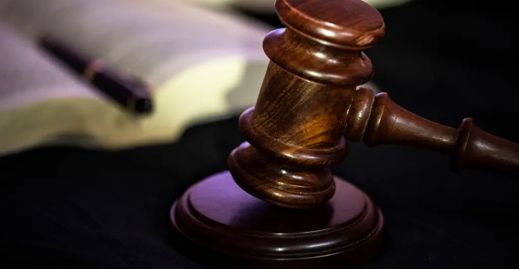 California judge's chilling rant to police after allegedly shooting his wife dead is revealed as he faces court