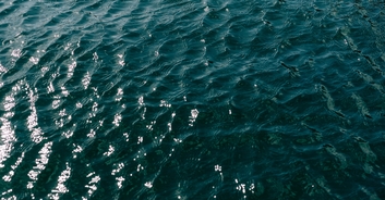 Heartbreaking last words of teen who drowned after his brothers dared him to swim across lake
