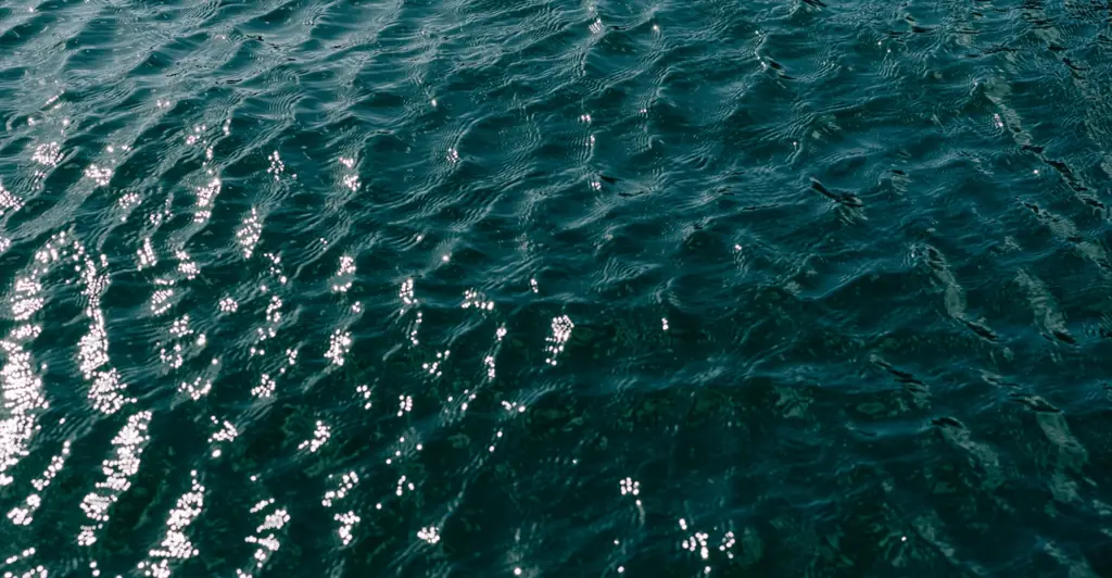 Heartbreaking last words of teen who drowned after his brothers dared him to swim across lake