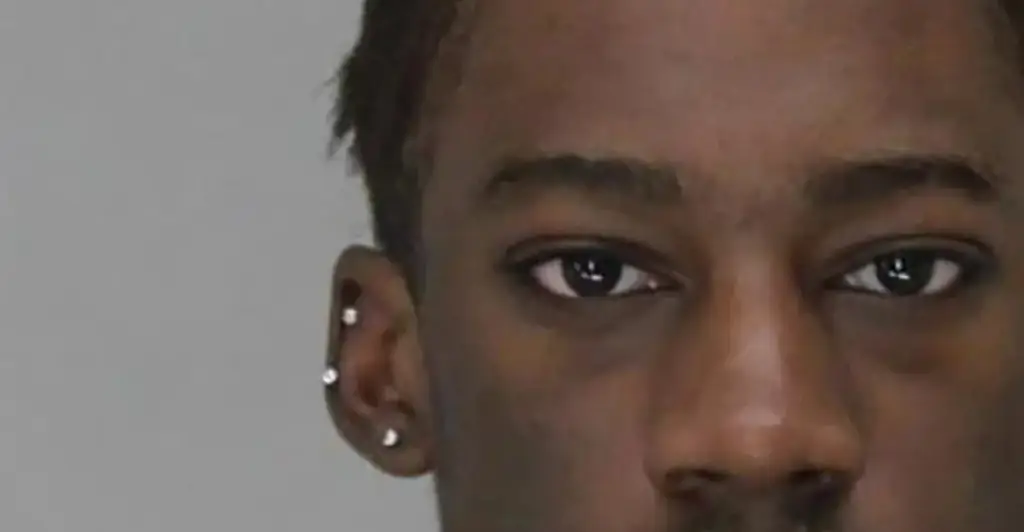TikTok star is charged with murder after therapist's dead body is found wrapped in tarp on side of road