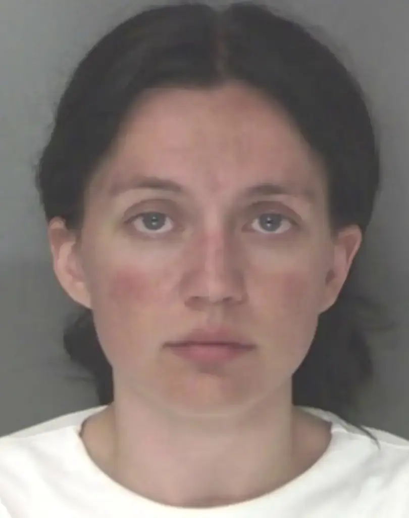 Two weeks after her first arrest the teacher was hit with 11 more charges. Credit: Douglas County's sheriff office