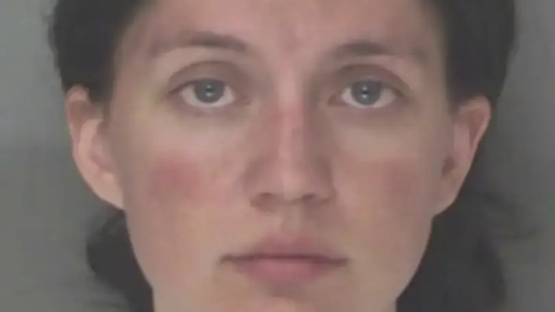 nicols2.webp