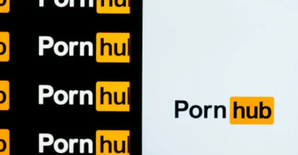 P*rnhub reveals its most searched for characters on the site