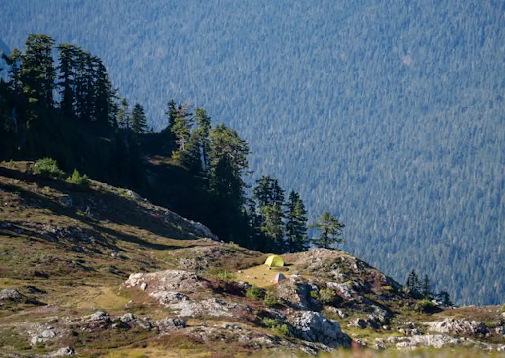 Deputies found the man's vehicle abandoned at the Mount Pugh trailhead near Darrington. Credit: Alex Moliski / Getty