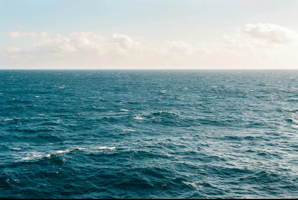 X-rated adults-only cruise where couples can swap partners is setting sail