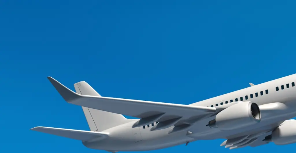 Woman, 33, issues urgent warning after nearly dying on long haul flight