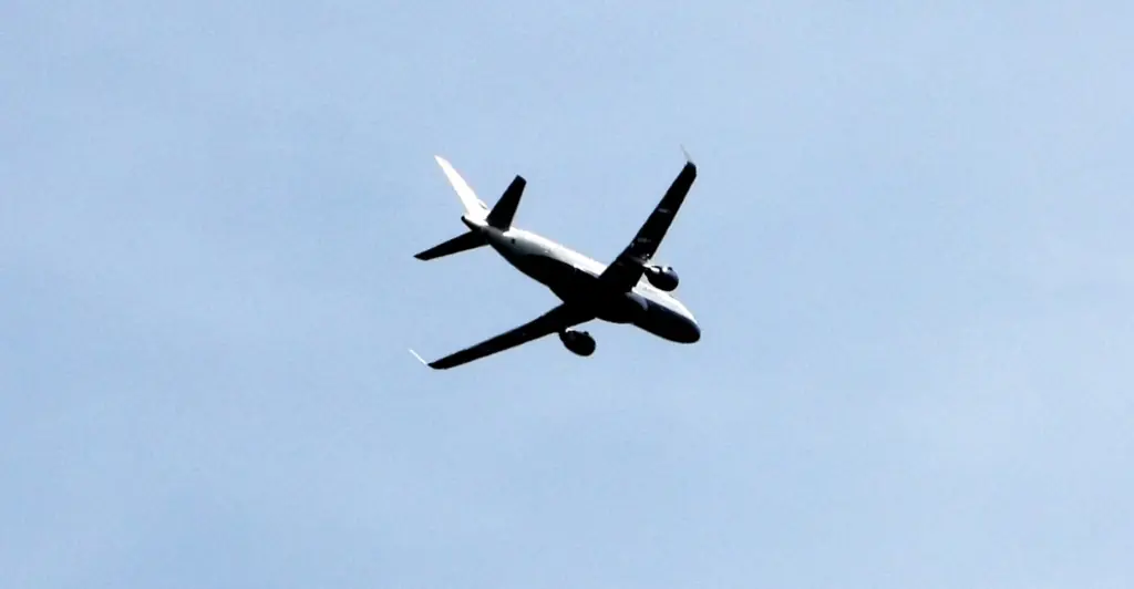 Man who was stopped from boarding plane that crashed in Brazil, killing everyone on board, breaks down in tears: 'He saved my life'