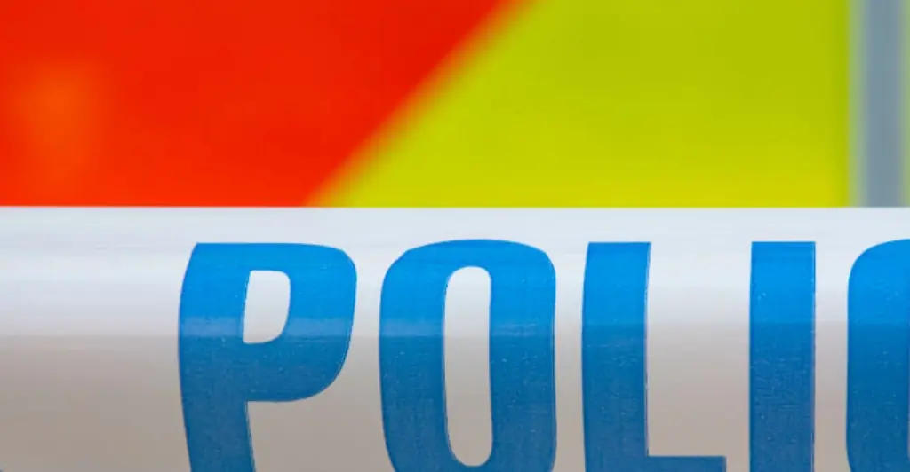 Woman admits she is dating brother of the man who violently murdered her teen sister for a bet over a free fried breakfast