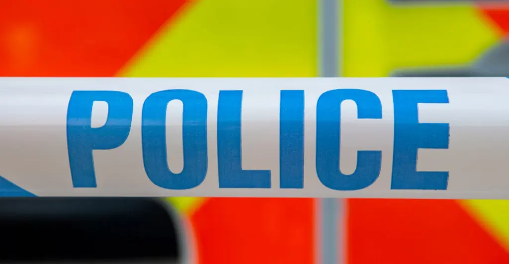 Woman admits she is dating brother of the man who violently murdered her teen sister for a bet over a free fried breakfast