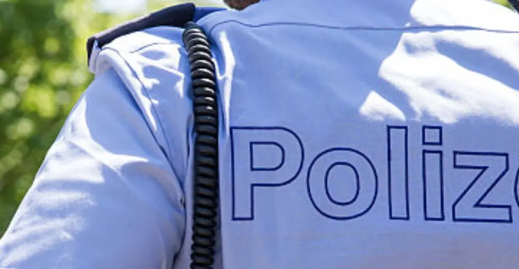 Miss Switzerland finalist is allegedly 'strangled and pureed in a blender by her husband after he used jigsaw to dismember her'