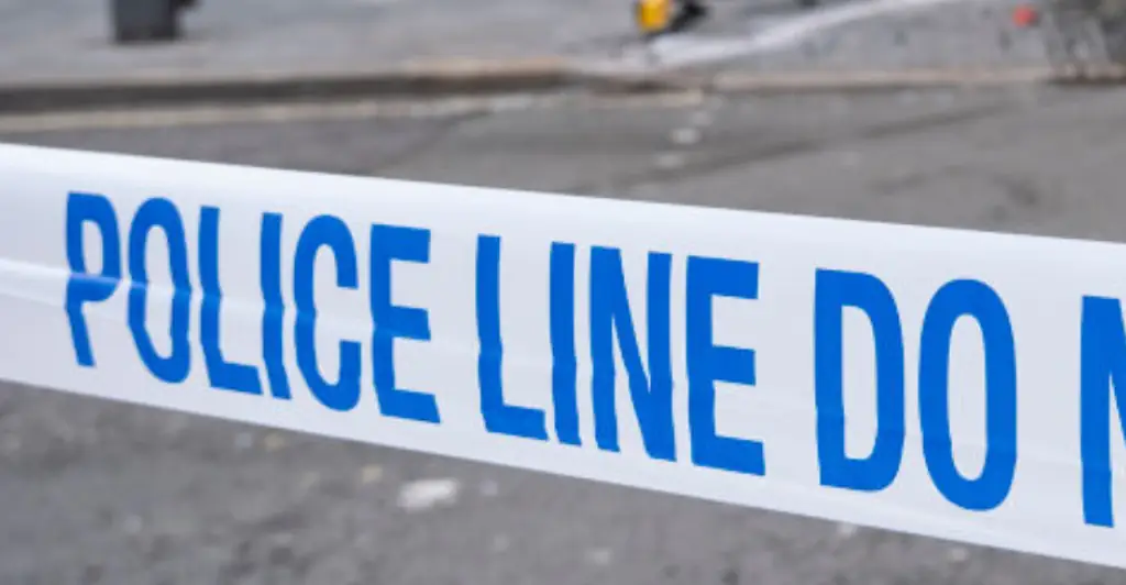 11-year-old Australian girl who was stabbed in Leciester Square is identified