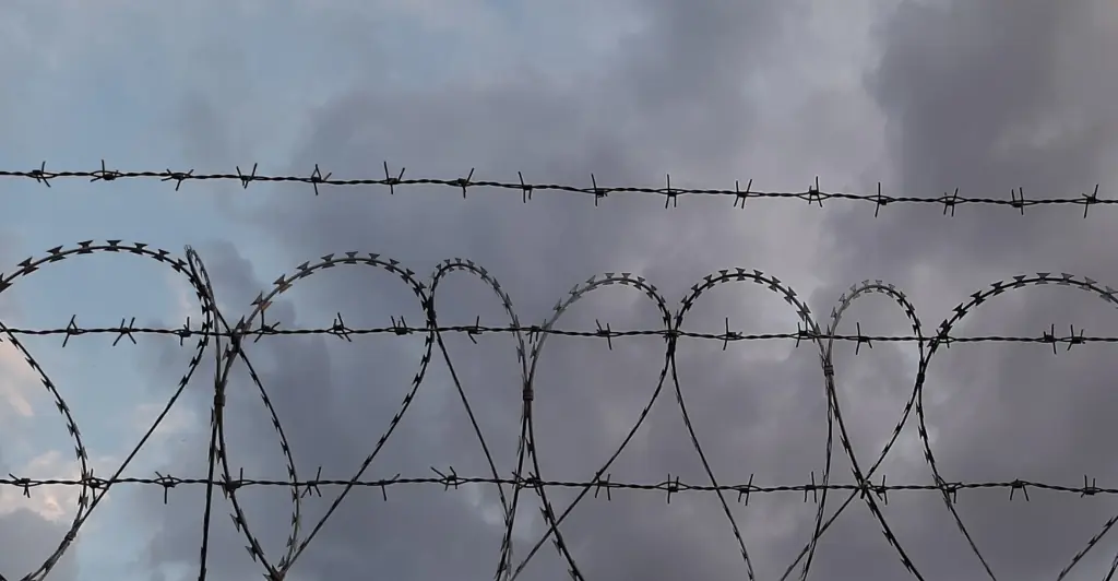 Final plea of death row inmate who died in South Carolina's first ever execution by firing squad