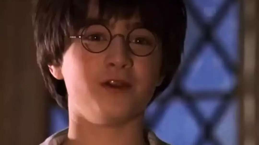 Harry Potter. Credit: Warner Bros