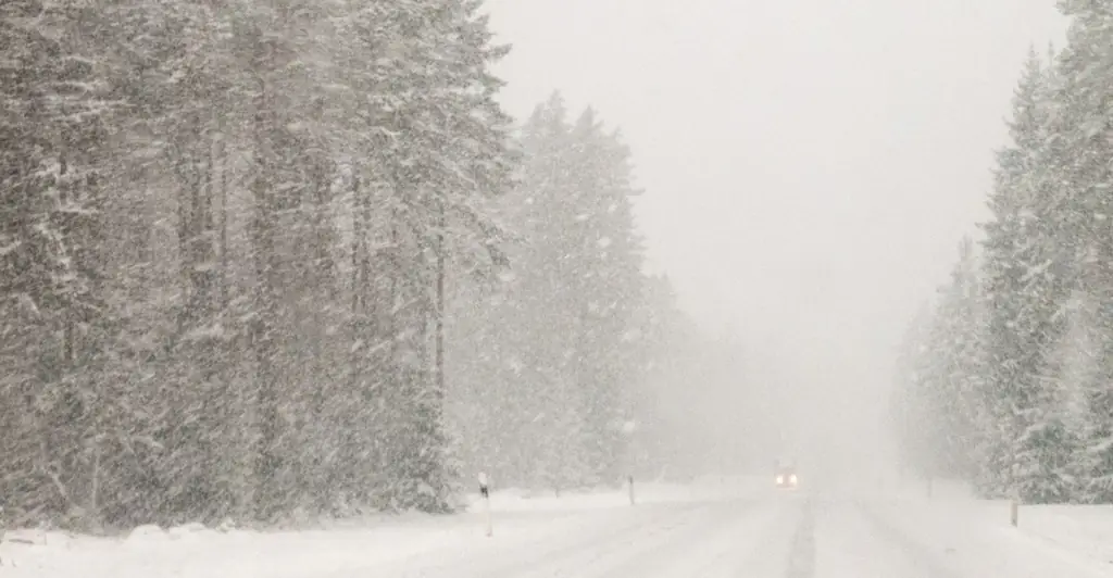 YouTuber, 22, sent final heartbreaking message to his grandma before he was found dead