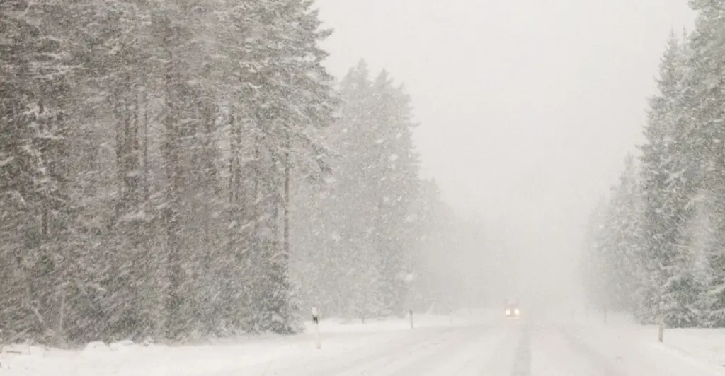 YouTuber, 22, sent final heartbreaking message to his grandma before he was found dead
