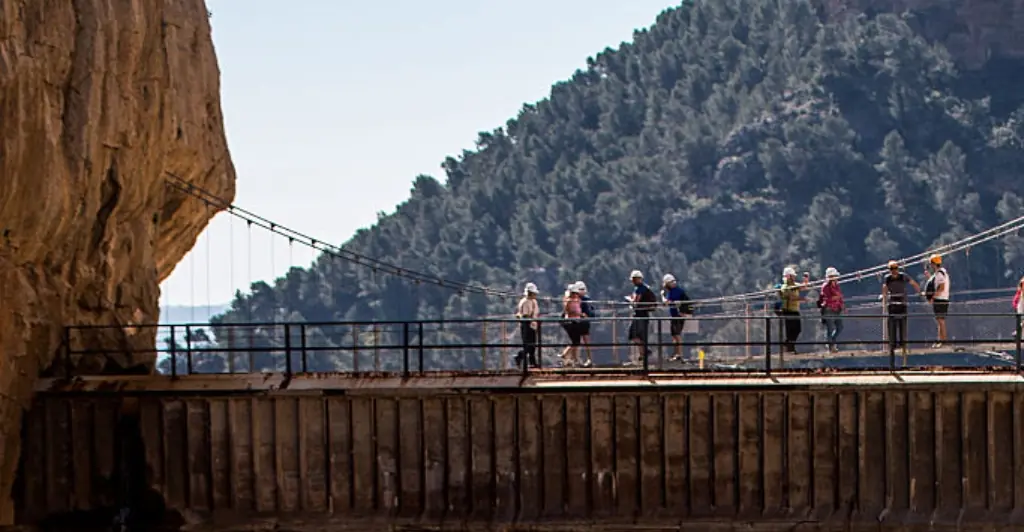 Student tragically dies after plunging 500ft in front of her friend at popular tourist spot