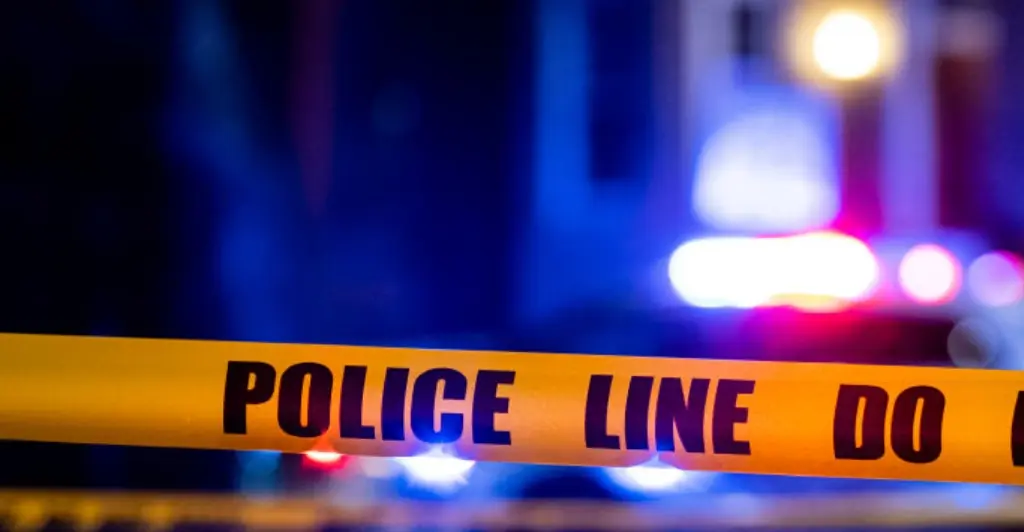 South Carolina dad, 41, dies after putting lit firework on his head to 'show off'