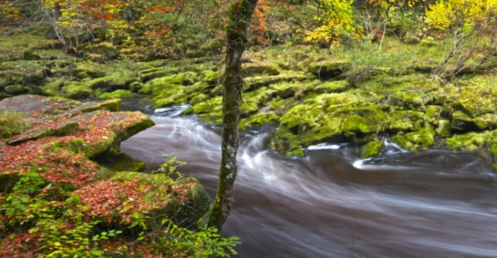 Man drops GoPro in ‘most dangerous river in the world’ and people are freaked out by what lies beneath