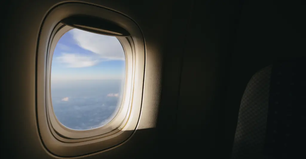 Horrifying simulation shows what happened to woman who was sucked out of plane window on flight