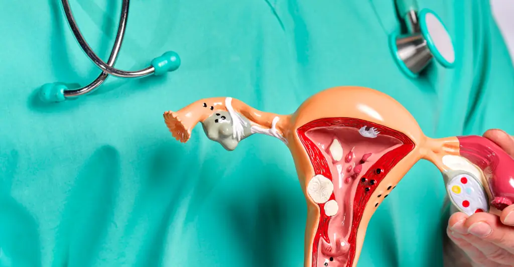 womb1.jpg