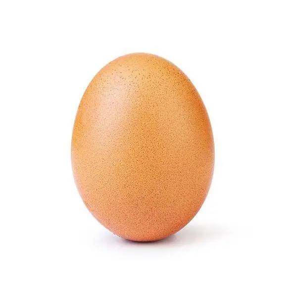 The famous Instagram egg - nothing more, nothing less. Credit: Instagram/@world_record_egg