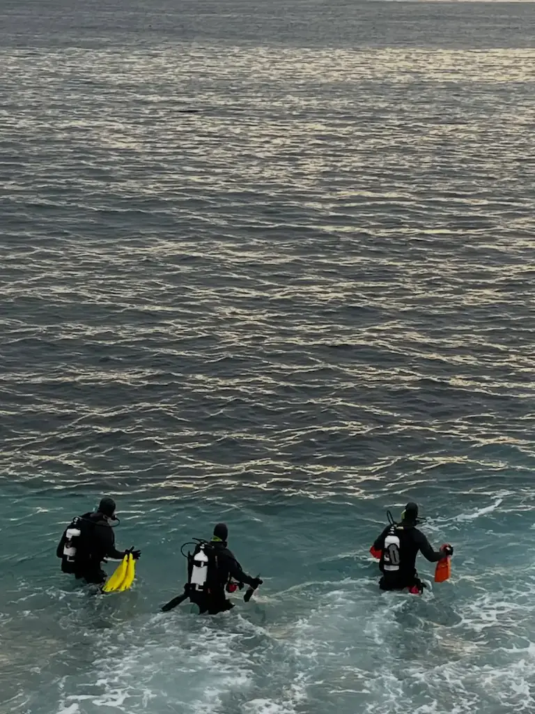 Fox was found still wearing a “shark band” on her ankle. Credit: Monterey County Sheriff's Office