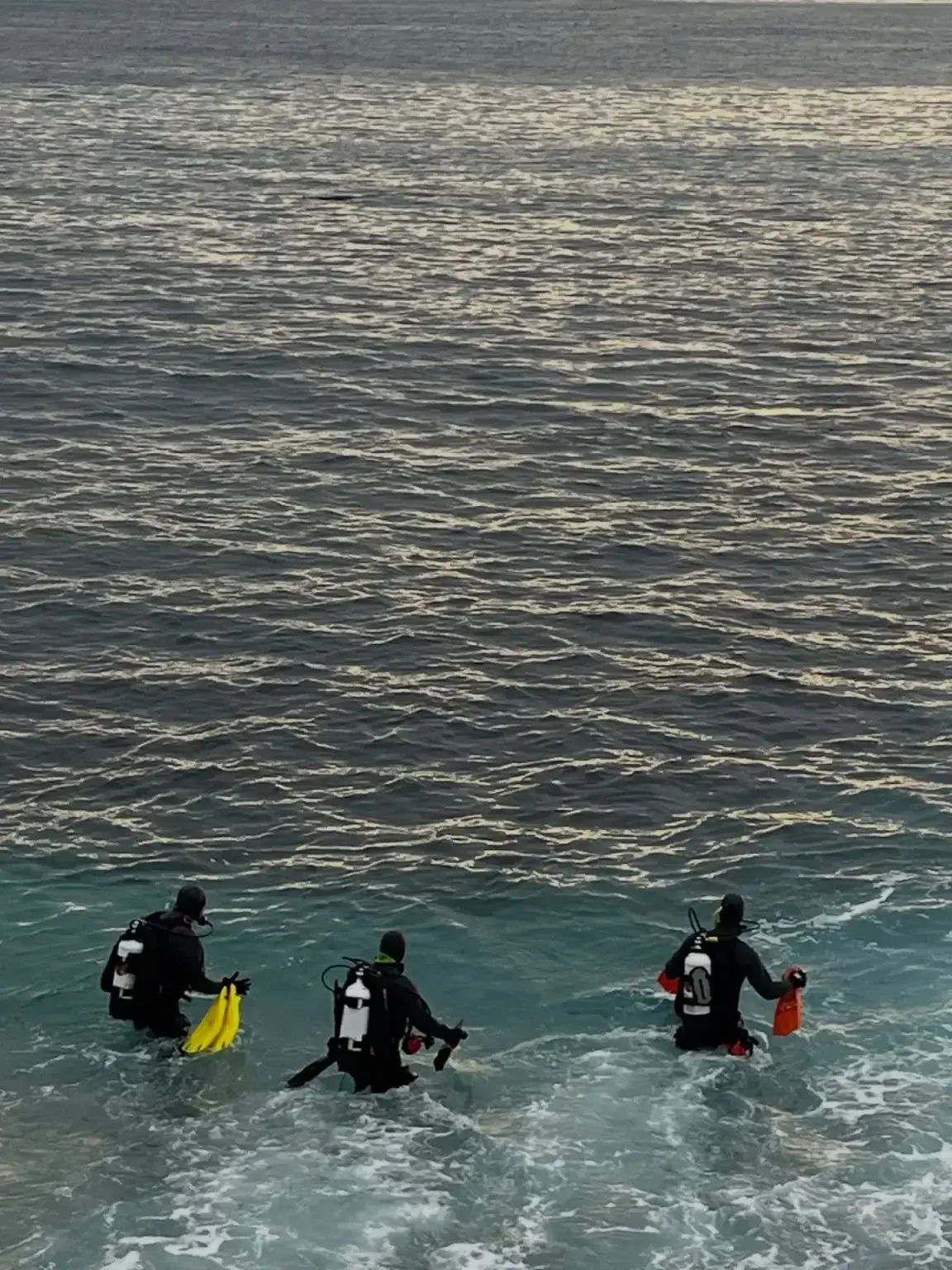 Fox was found still wearing a “shark band” on her ankle. Credit: Monterey County Sheriff's Office