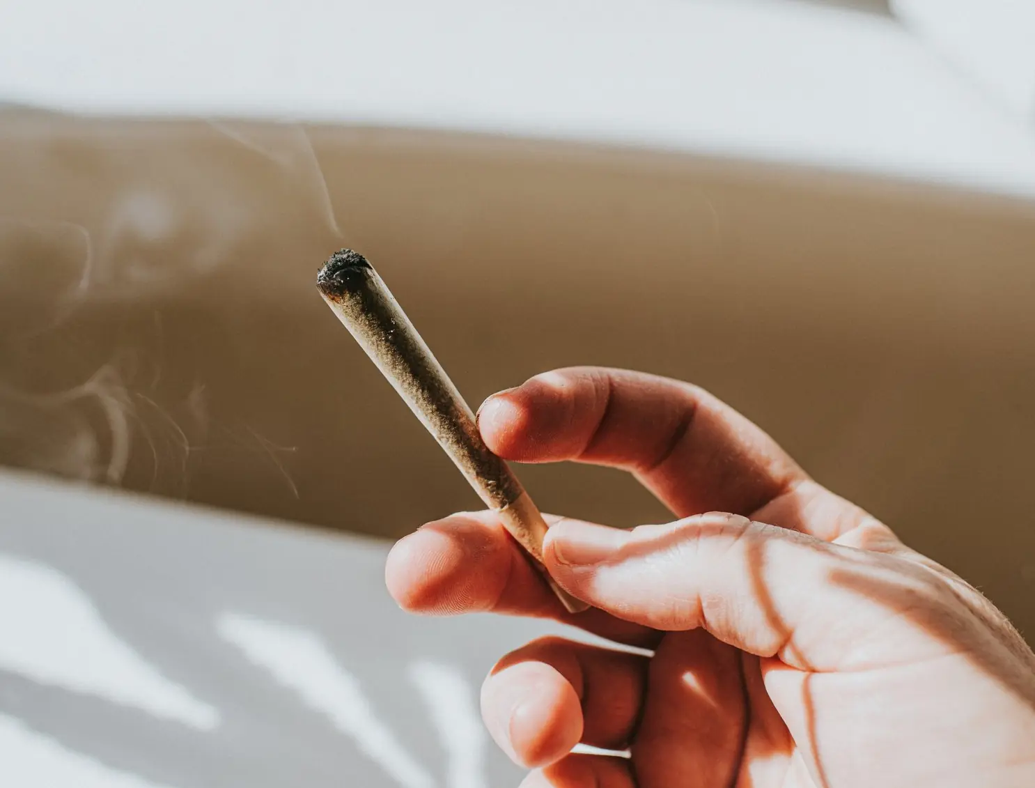 Marijuana. Credit: Catherine Falls Commercial / Getty