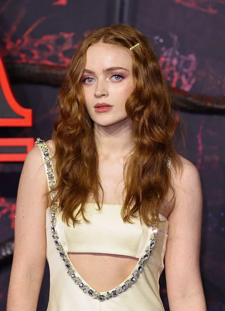 Sadie Sink has shared her own theory. Credit: Mike Marsland / Getty