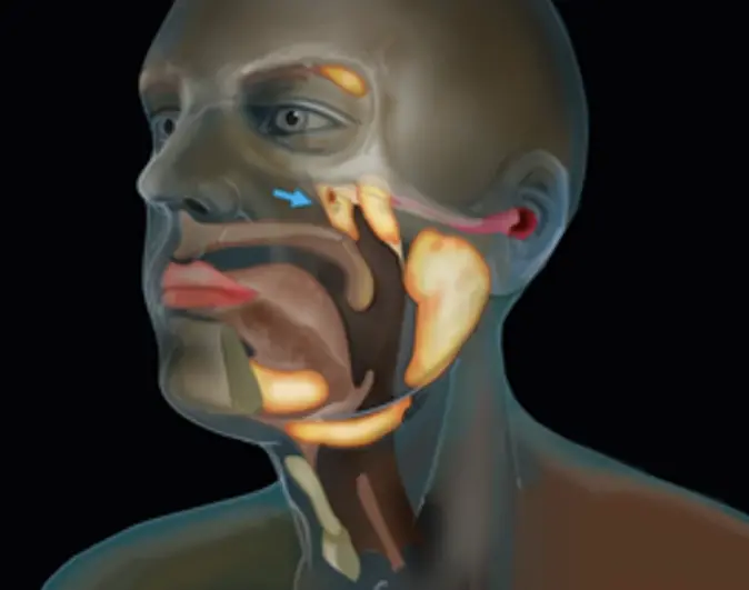 Credit: Netherlands Cancer Institute.