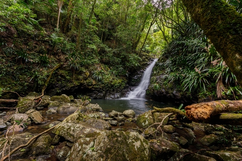 Boy and girl, both 17, tragically die in double drowning after she 'fell off' a waterfall and he jumped in to save her