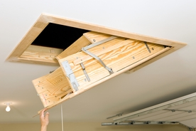 Mom made horrifying discovery after hearing strange noises coming from her attic