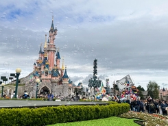 Wife speaks out after husband's plan to 'hire' a disabled person so they can skip lines at Disneyland