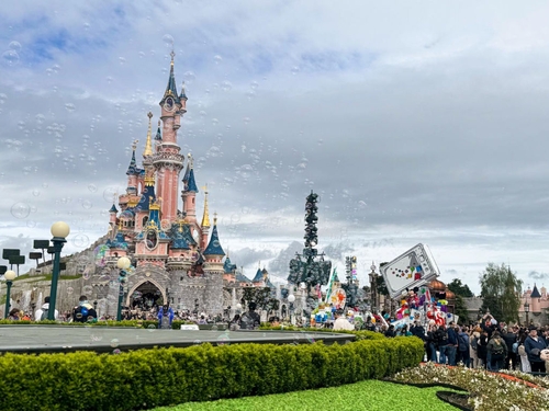 Wife speaks out after husband's plan to 'hire' a disabled person so they can skip lines at Disneyland